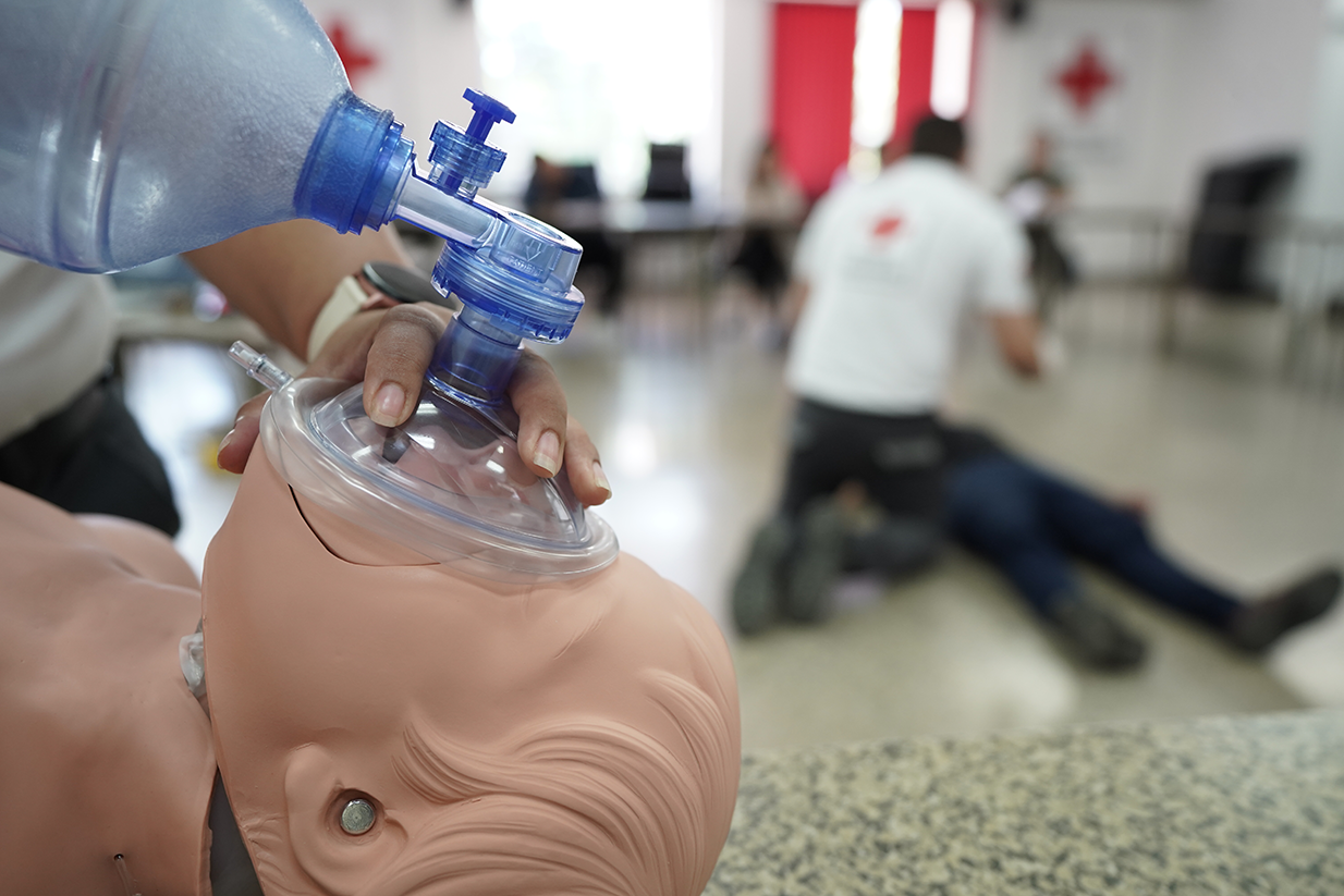 Técnico de Movilidad Humana