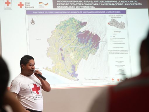Programa Integrado de anticipación