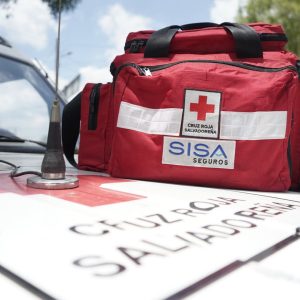 CURSO PRIMEROS AUXILIOS PARA MASCOTAS